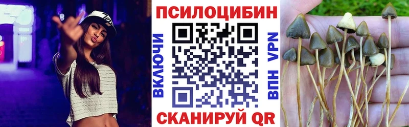 Псилоцибиновые грибы Psilocybine cubensis  Камышлов 