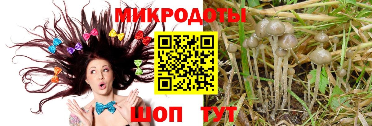 где можно купить   Галлюциногенные грибы Cubensis  Камышлов  Вход с VPN  Псилоцибиновые грибы мицелий 